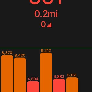 steps.jpg
