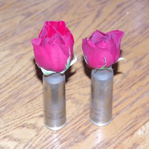 IMGP1103.JPG