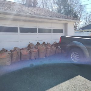 Yard_Clean_Up.jpg