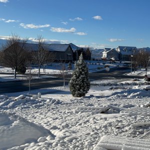 IMG_7413.jpeg