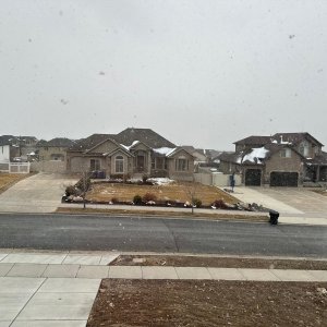 IMG_7417.jpeg