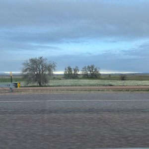 IMG_7528.jpeg