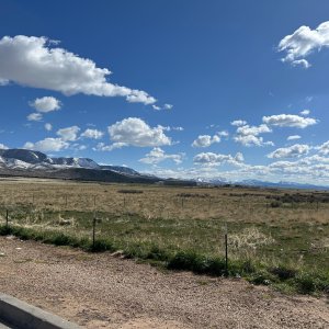 IMG_7752.jpeg