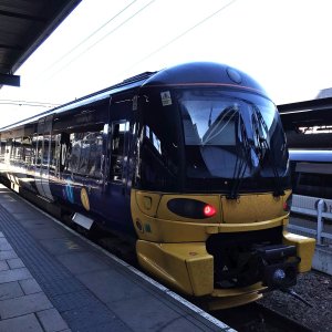 IMG_0349.JPEG