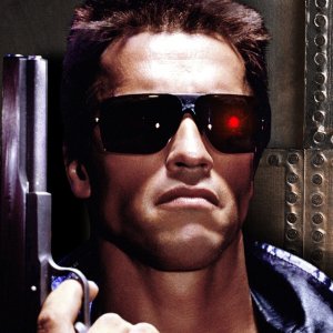 terminator-terminator-30973001-1280-1024-800511095.jpg
