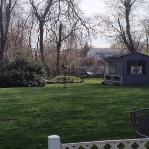 Lawn_04_25.jpg