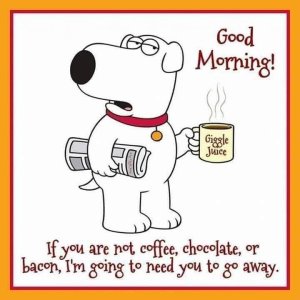 FAMILY GUY_DOG_3.jpg