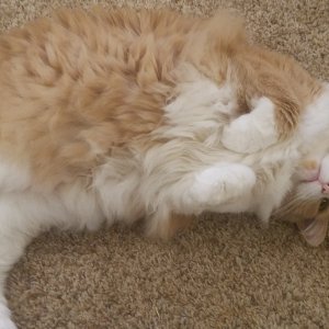 20201125_192442.jpeg