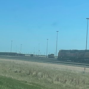 IMG_3765.jpeg