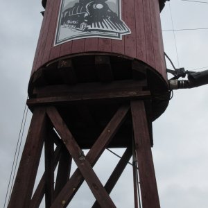 IMG_5911.JPG