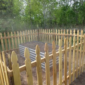 raised bed.JPG