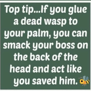 1748035670084.png