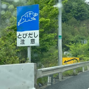IMG_8072.jpeg