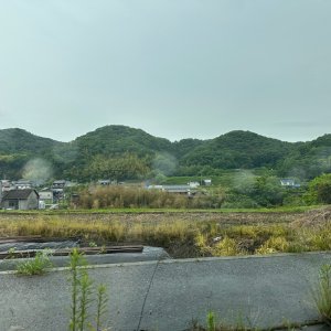 IMG_8064.jpeg