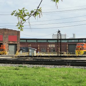 IMG_20250505_091237040.jpg