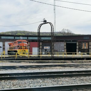 IMG_20250505_093129925.jpg