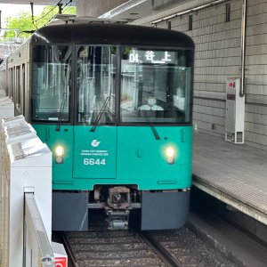 IMG_8100.jpeg