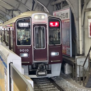 IMG_8108.jpeg