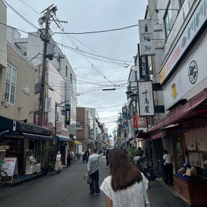 IMG_8109.jpeg