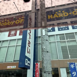 IMG_8074.jpeg