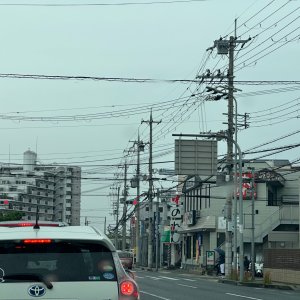 IMG_8073.jpeg