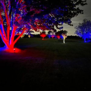 IMG_7498.jpg