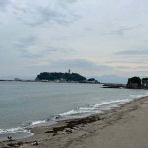 IMG_8211.jpeg