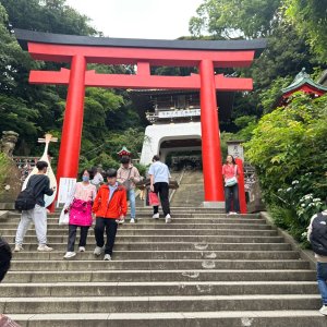 IMG_8395.jpeg
