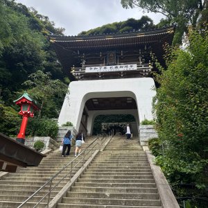 IMG_8401.jpeg