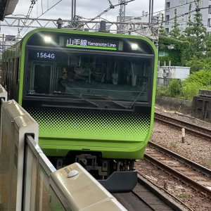 IMG_8484.jpeg