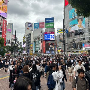 IMG_8485.jpeg