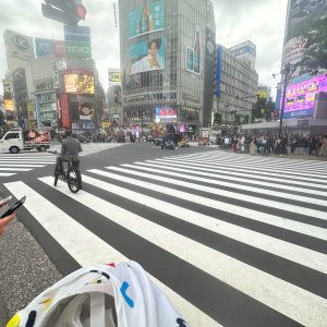 IMG_8486.jpeg
