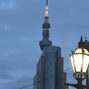 IMG_8491.jpeg