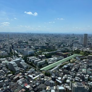 IMG_8542.jpeg