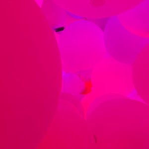 IMG_8660.jpeg