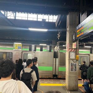 IMG_8779.jpeg