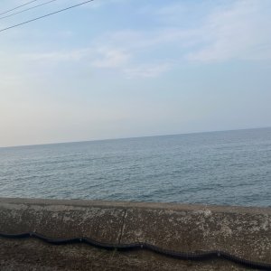 IMG_8862.jpeg