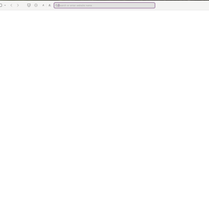 Screenshot 2025-05-31 at 12.38.51 PM.png