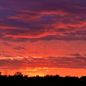 IMG_7517.jpg