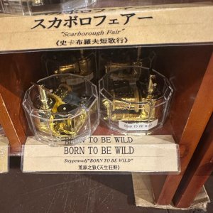 IMG_9006.jpeg