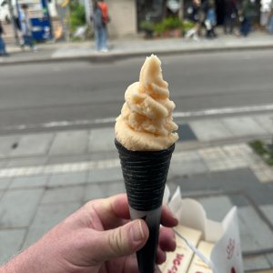 IMG_9014.jpeg