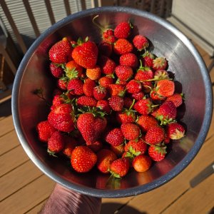 image000000 (1).jpg