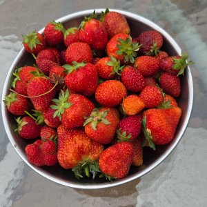 image000000 (2).jpg