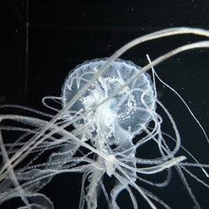 IMG_9327.jpeg