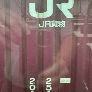 IMG_9429.jpeg