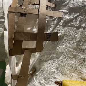 IMG_1291.jpeg