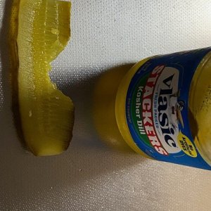 PICKLE AND BOTTLE.jpg