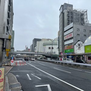 IMG_9524.jpeg
