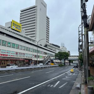 IMG_9525.jpeg