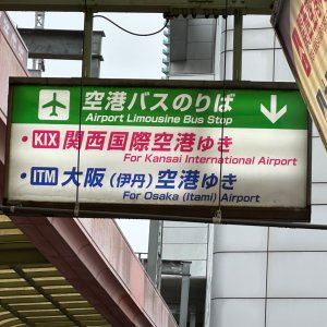 IMG_9527.jpeg